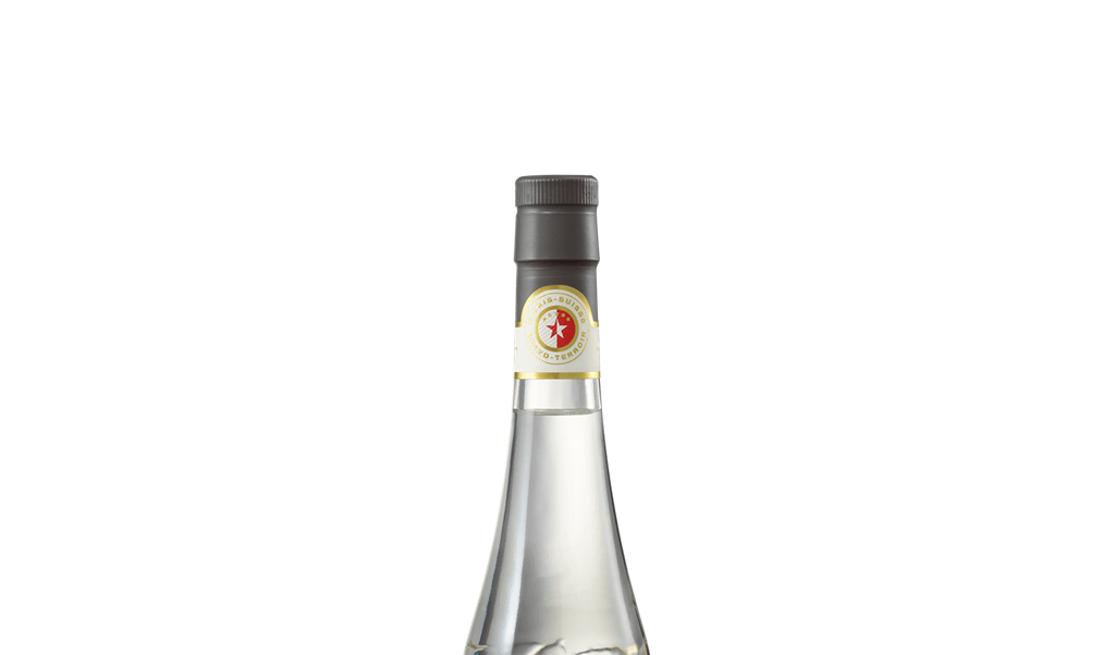 Kirsch vieux - Brandy - header