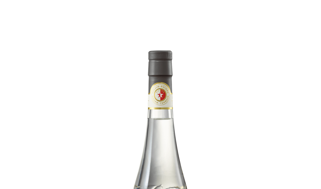 Williamine® - Eau-de-vie - header