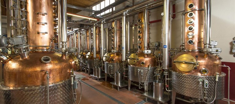 «Die Schweiz brennt»