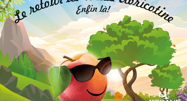 Abricotine Aop Retour (1)