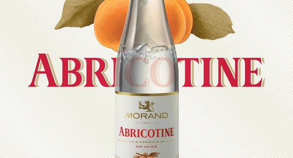 Morand Abricotine Retour A4 Page 001